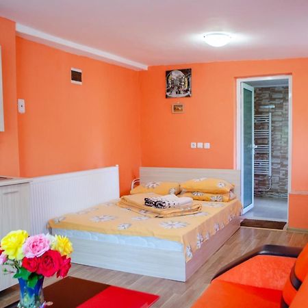 Danailovi Guest House Sapareva Banya Eksteriør billede